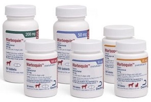Marboquin-Marbofloxacin Tablet